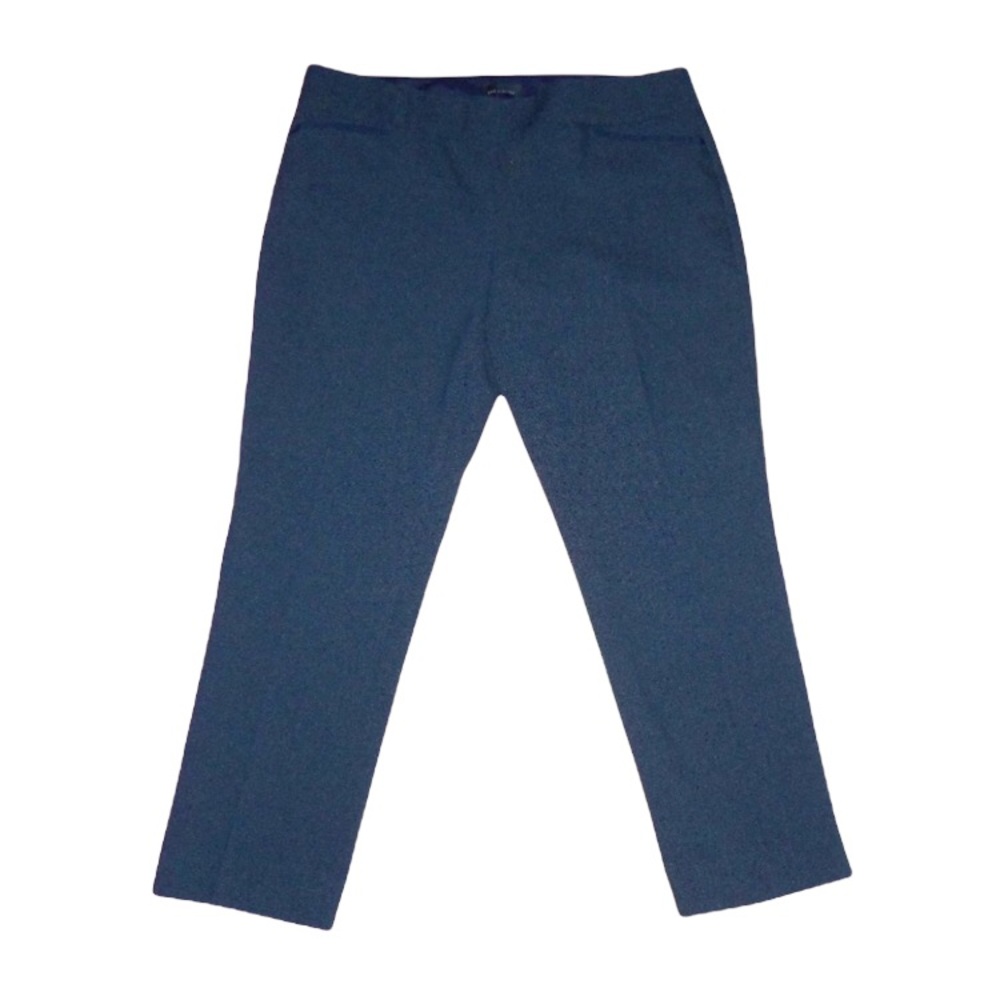 The Limited Navy Cropped Pants
